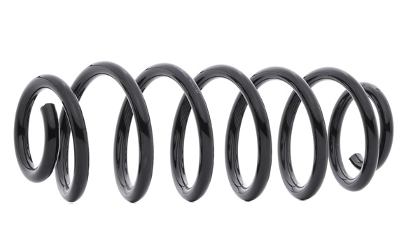 RIDEX 188C0719 Federn Audi A3 8P