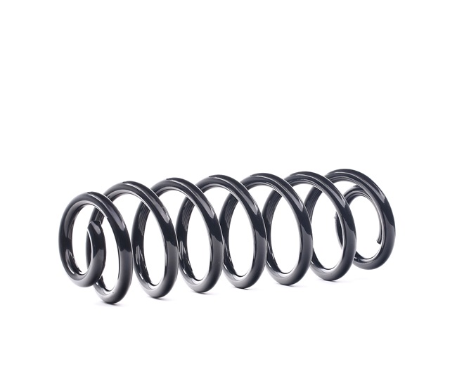 RIDEX 188C0732 Federn VW Passat B7 Alltrack