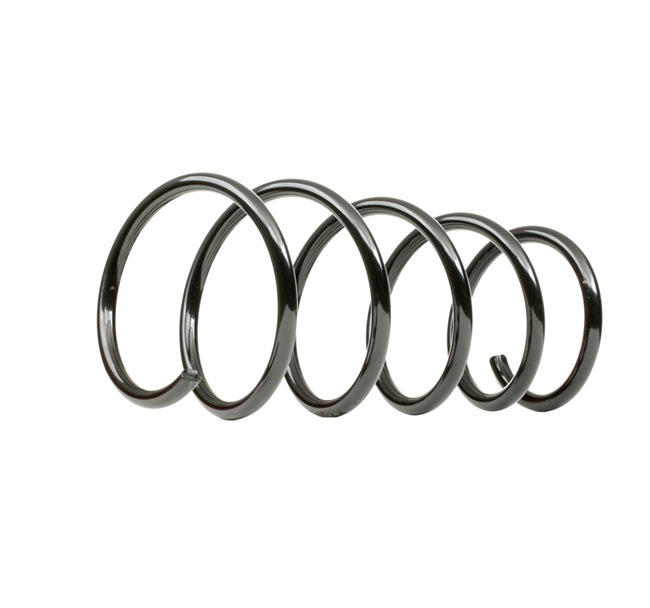 SPIDAN Coil spring 85810 at favorable price