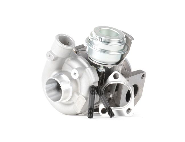 RIDEX 2234C0181 qualité et prix abordables