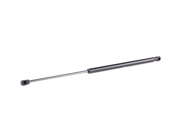 RIDEX 219G0929 qualité haut de gamme et prix abordables