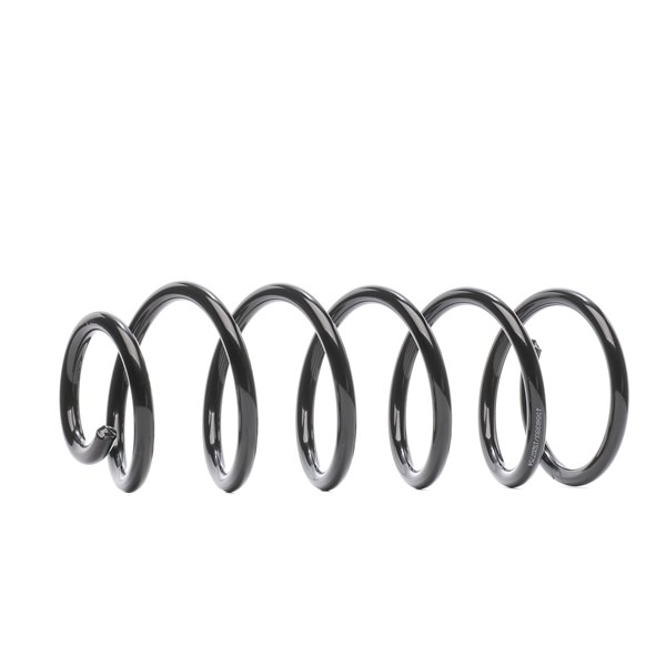 RIDEX 188C1475 chassisveer 482316A290