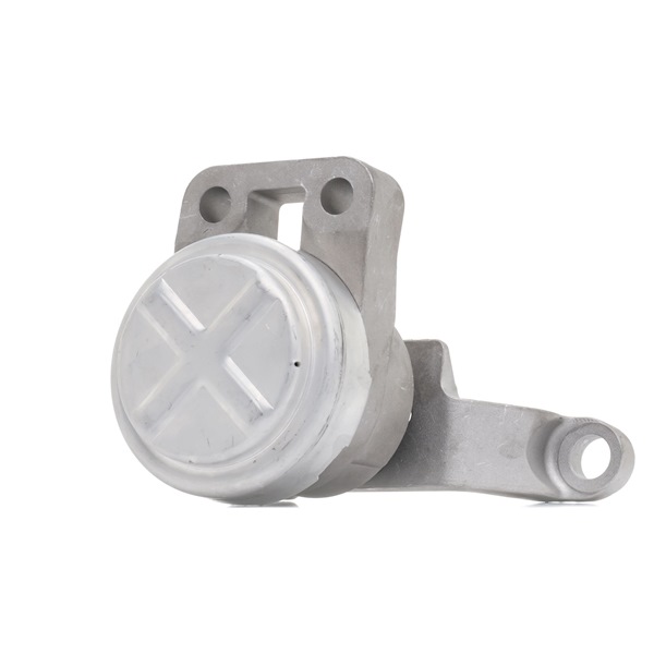 247E0387 RIDEX 1376871 Motorlager