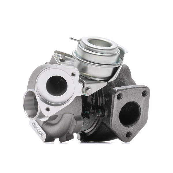 RIDEX 2234C0195 turbocharger 7787626H