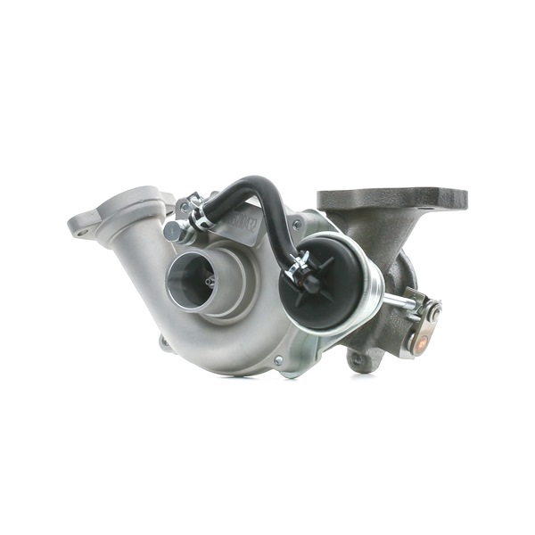 RIDEX 2234C0198 turbocharger Ford Fiesta Mk5