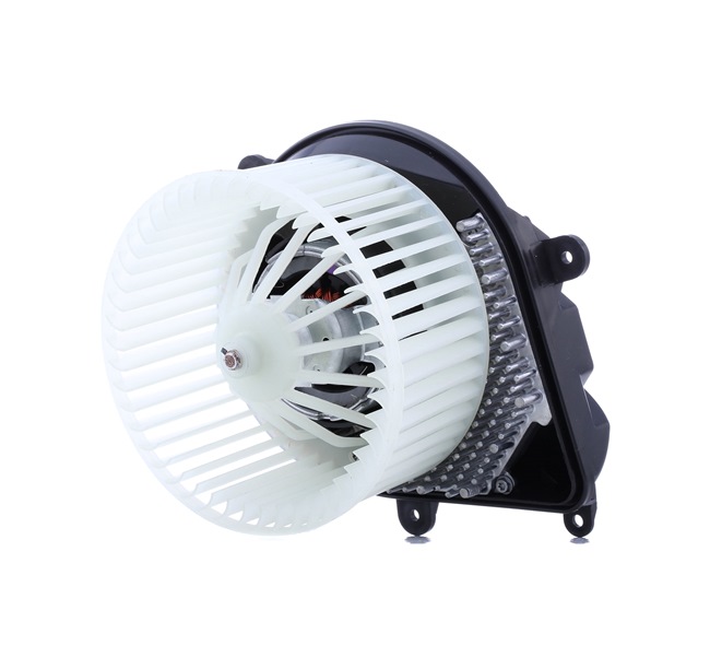 RIDEX 2669I0162 interieurventilatie 6441.A0