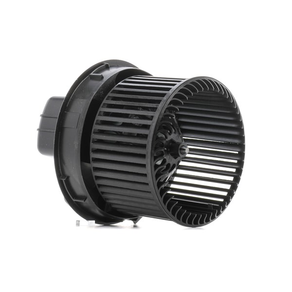 RIDEX 6441.V0 Sisätilapuhallin 2669I0165