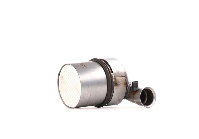 RIDEX 1256S0155 PIAGGIO Partikelfilter (DPF) Kosten