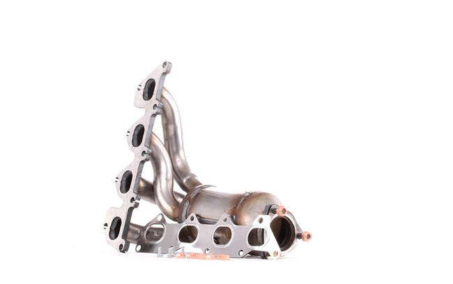 ERNST Catalyseur 758055 pas chères
