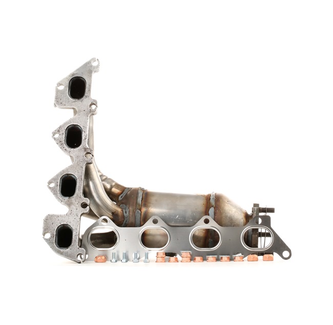 ERNST Catalyseur 758055 pas chères