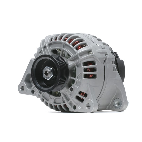 RIDEX 4G0828 dynamo Passat 3B6 2.8 4motion 190 hk Bensin 2004