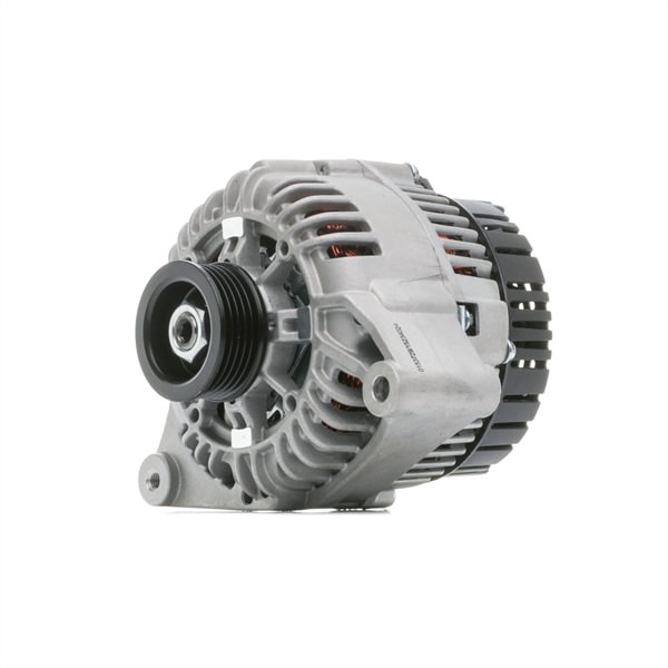 STARK 57055P Alternateur SKGN-0321128