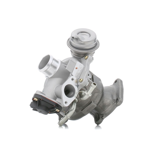 RIDEX 2234C0317 turbocharger Ford C Max 2