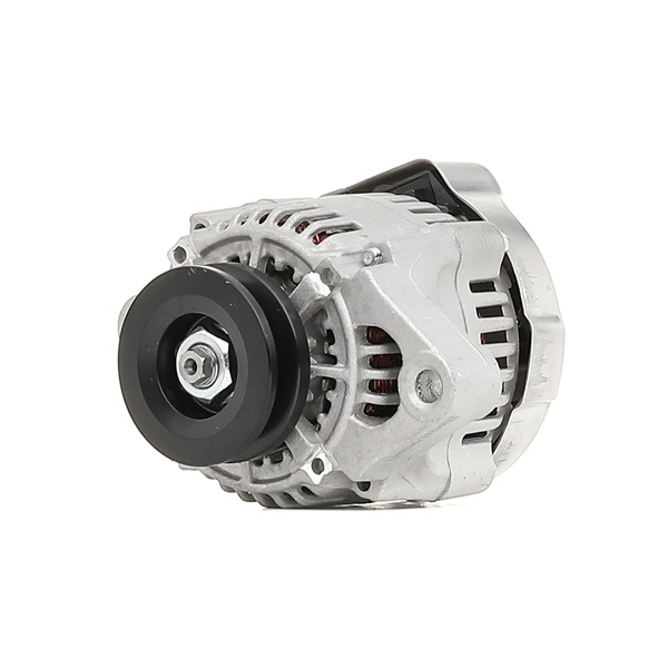 RIDEX 4G0956 PIAGGIO Lichtmaschine Kosten