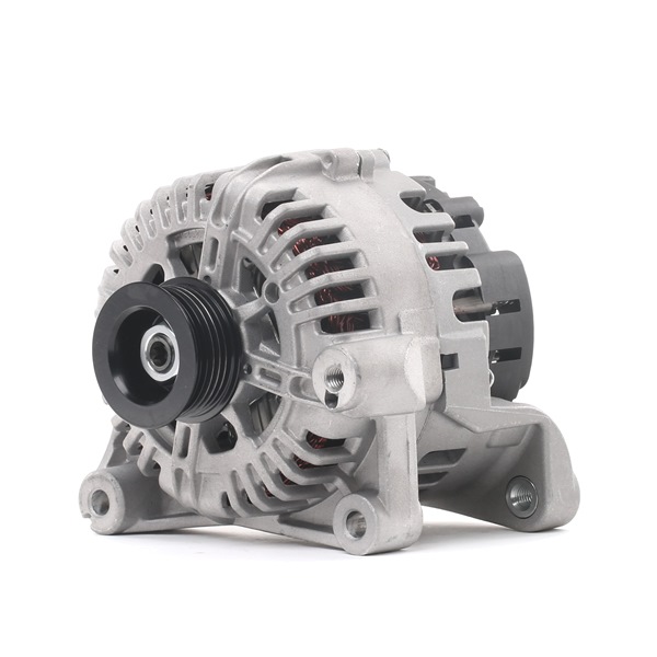 STARK SKGN-0321293 dynamo / alternator 12-31-7-800-308