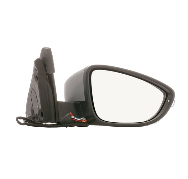 RIDEX 50O0549 Espelho retrovisor Passat 365 1.4 TSI 122 cv Gasolina 2011