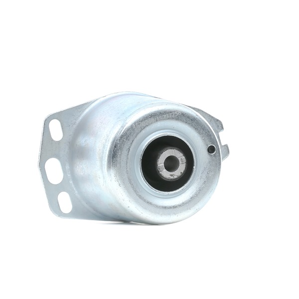 RIDEX 247E0420 motorsteunlager 46461190