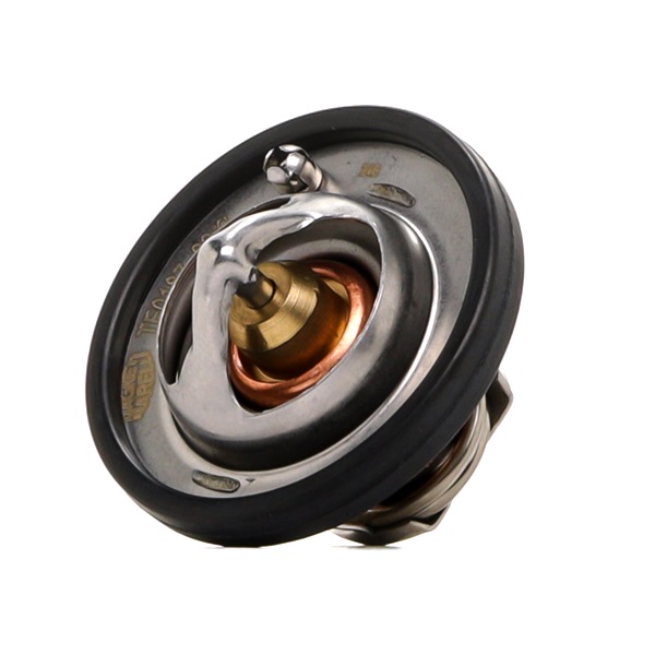 MINI PACEMAN MAGNETI MARELLI thermostat 352317101870