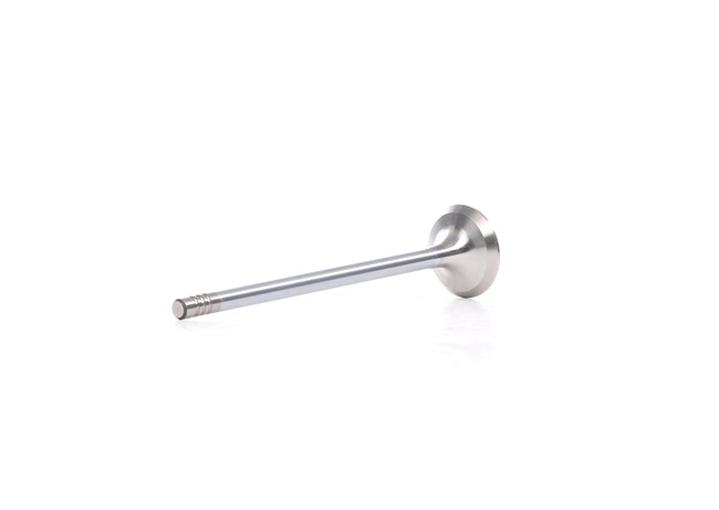TRW Engine Component Válvula de drenagem 181118 ao melhor preços