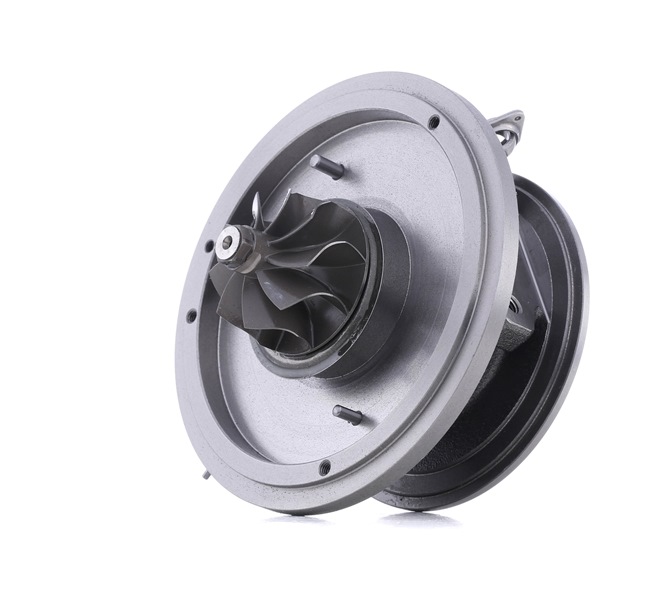 RIDEX 11657794022H Cartouche turbo 4973C0036
