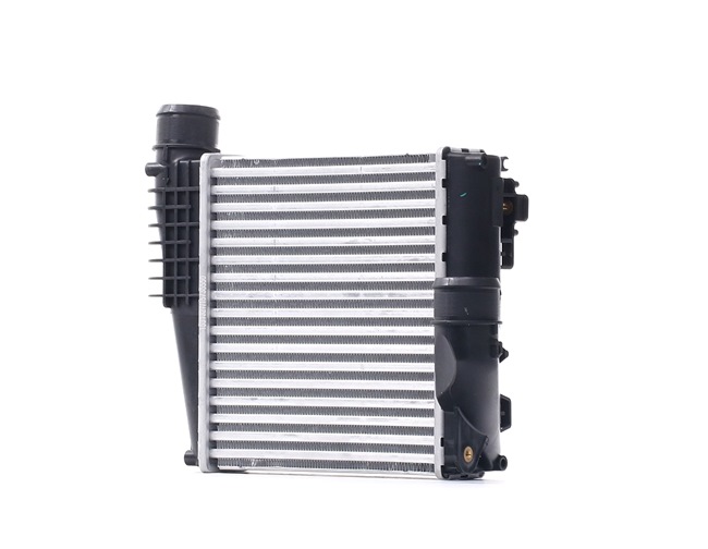 RIDEX 468I0122 CITROËN Intercooler pris