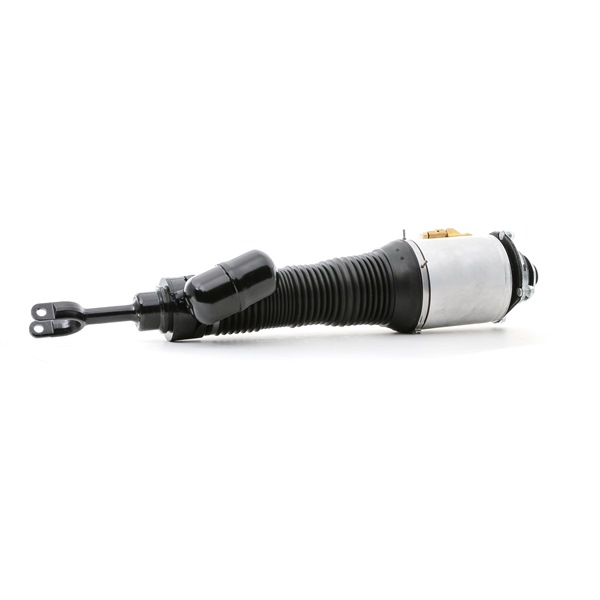 4118A0038 RIDEX 3W0616039H Luftfederbein