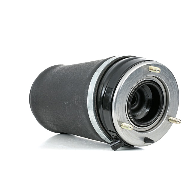 RIDEX 4119A0040 A-kwaliteit en eerlijke prijzen