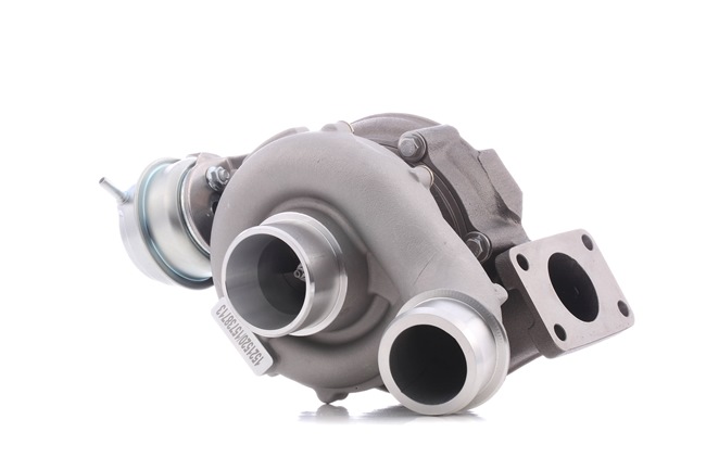 RIDEX 2234C0364 Turbo Passat 3BG 2.5 TDI 163 HK Diesel 2005