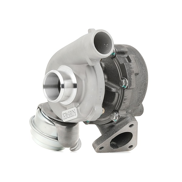 RIDEX 2234C0377 turbocharger 8 60 038