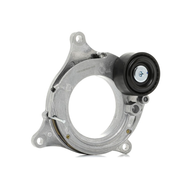 RIDEX 249M0006 Supporto cambio Audi A4 B8 Avant 2.0 TDI 177 CV Diesel 2011