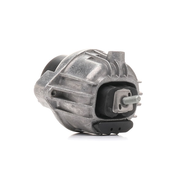 247E0443 RIDEX 22116773248 Motorlager