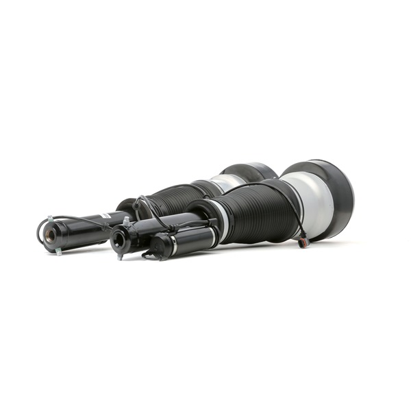 RIDEX 4118A0047 pneumatische veerpoot 2213209113
