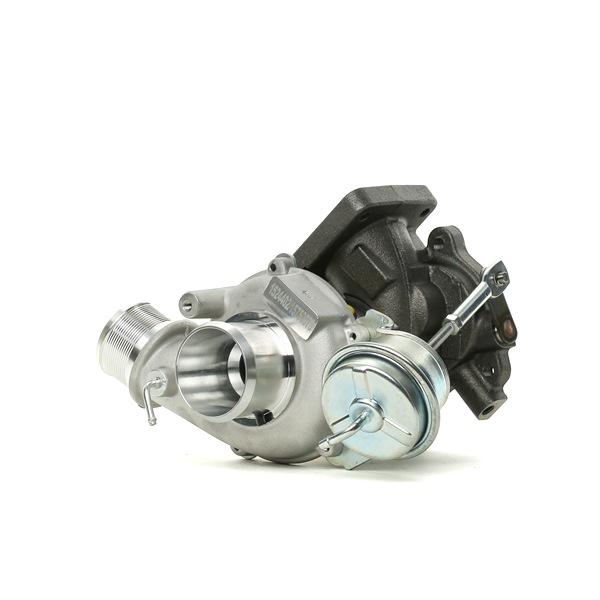 RIDEX 2234C0402 Turbina Delta 844 originale prezzo