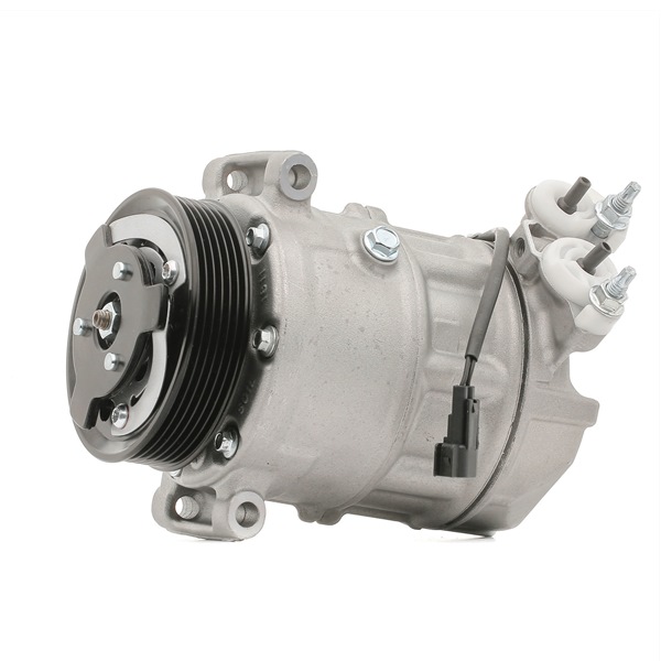 RIDEX 447K0495 aircopomp C2D2790