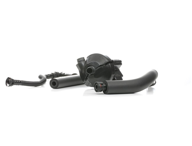 RIDEX 3886V0046 klep, ontluchting nokkenasbehuizing 11 61 7 516 007 KIT