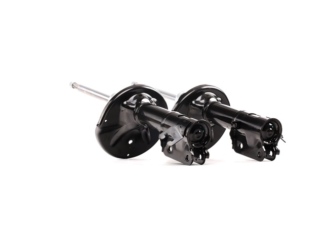 RIDEX 854S2598 HYUNDAI HIGHWAY Stoßdämpfer hinten und vorne Preis