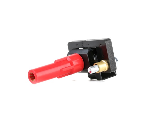 689C0378 RIDEX 22433AA411 Zündspule