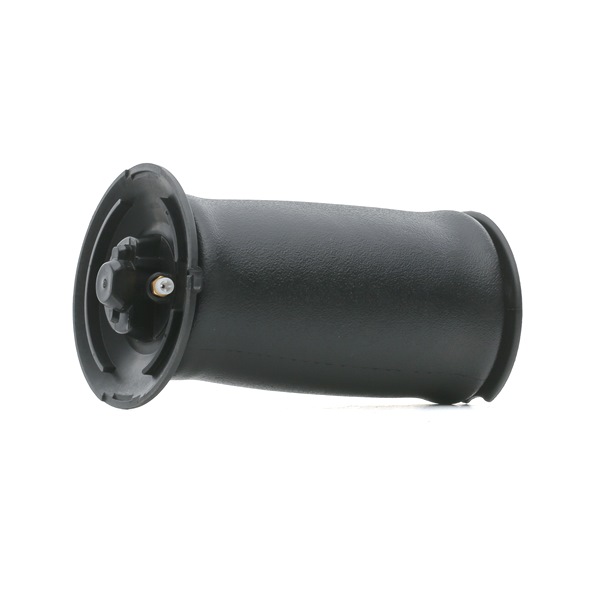 RIDEX 4119A0044 1A-Qualität und faire Preise