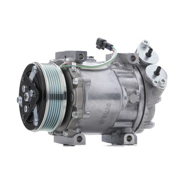 RIDEX 447K0500 aircopomp 36001870