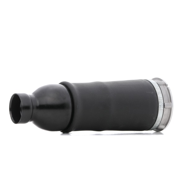 RIDEX 4Z7 616 051 D Muelle neumático, suspensión 4119A0045