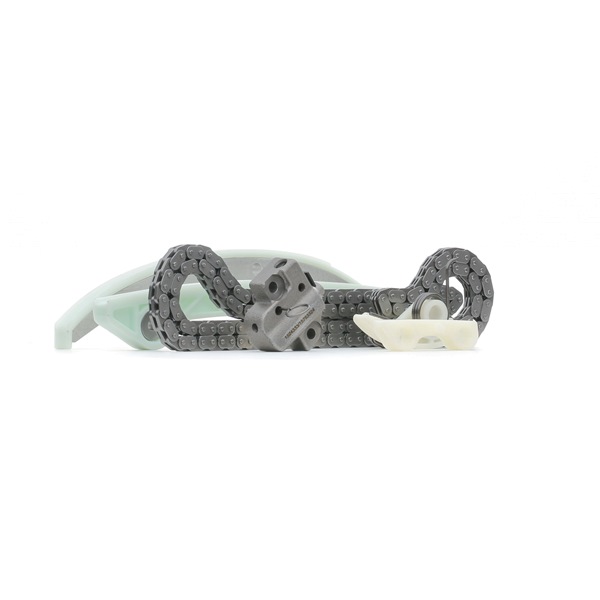 RIDEX 1389T0226 Chaîne de distribution Ford C-Max DM2 1.8 Flexifuel 125 CV Essence / éthanol 2008