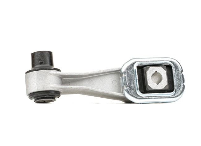 RIDEX 247E0460 Vlezajenje, motor NISSAN NOTE 2018