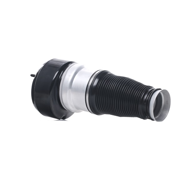 RIDEX A 221 320 49 13 Ilmajousi 4119A0047