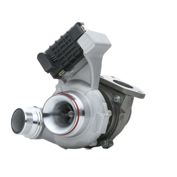 RIDEX 2234C0439 turbocharger 7810190C02