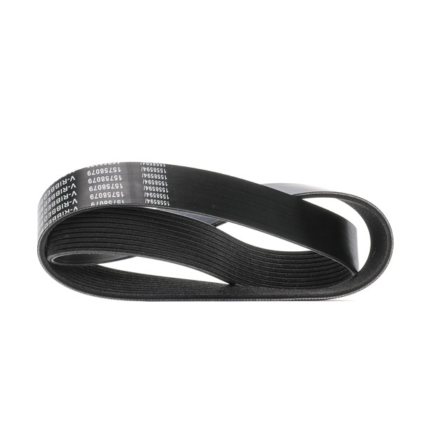 RIDEX 305P0465 multiriem 7420 558 734