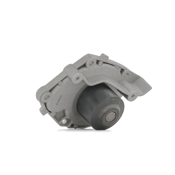 STARK SKWP-0520375 Bomba de água Renault Megane 2 Carrinha preço