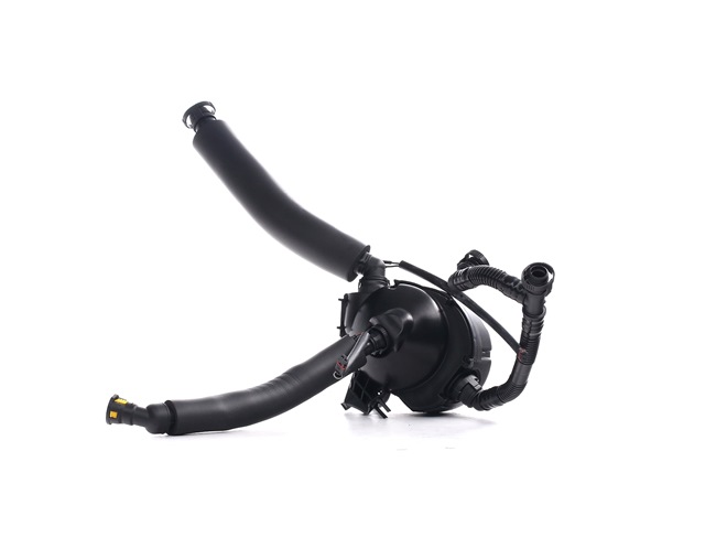 RIDEX 3886V0048 Ventil vevhusventilation BMW E81 original pris