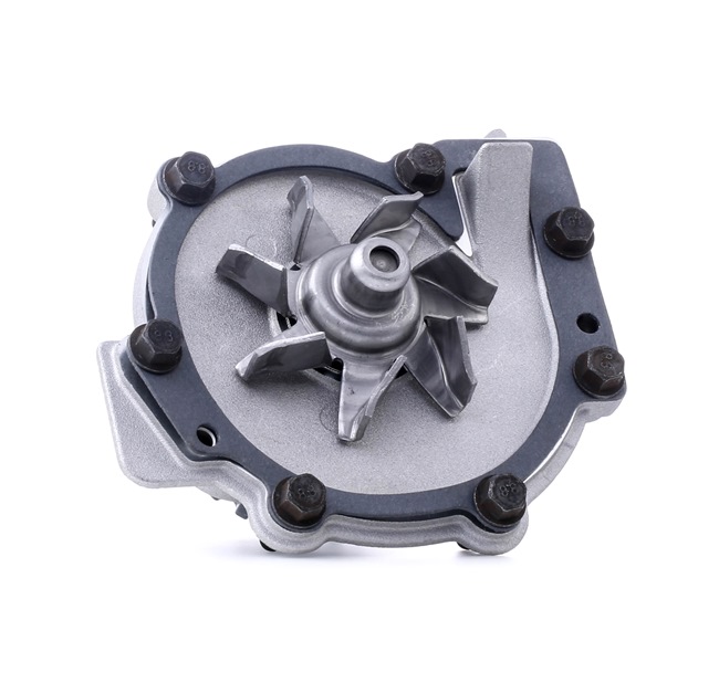 STARK SKWP-0520381 di prima qualità a prezzi equi