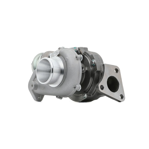RIDEX 2234C0470 turbocharger 860102