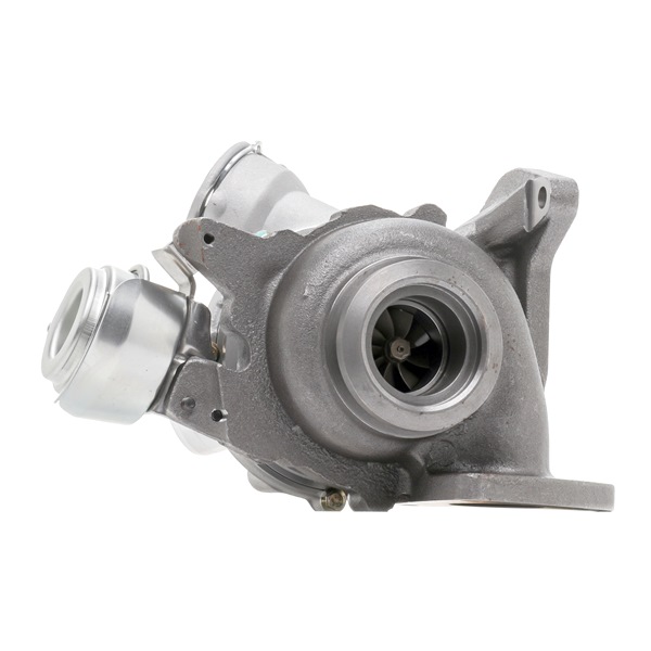 RIDEX 2234C0493 1A-Qualität und faire Preise